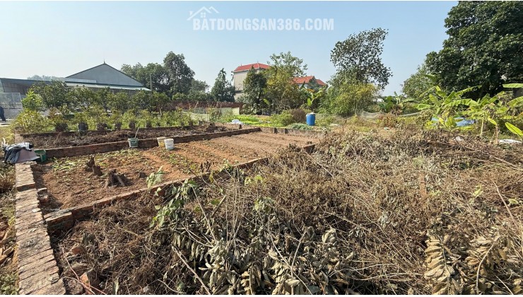 BÁN ĐẤT GIÁ TỐT – HƠN 50M² – Ô TÔ VÀO TẬN ĐẤT – CÁCH TỈNH LỘ 100M – TÀI CHÍNH CHỈ NHỈNH 1 TỶ